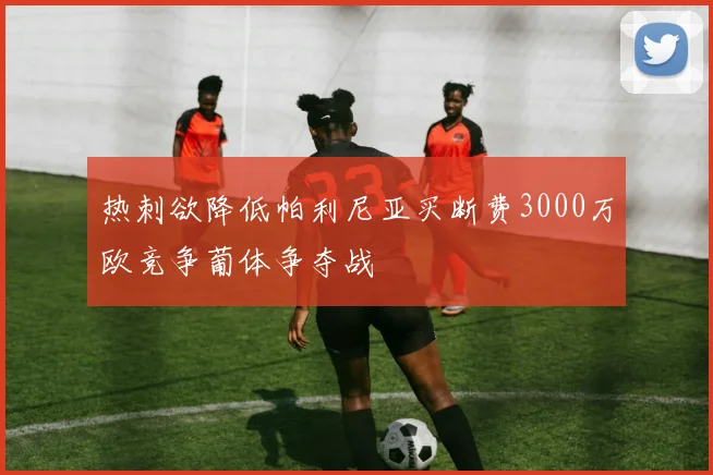 热刺欲降低帕利尼亚买断费3000万欧竞争葡体争夺战