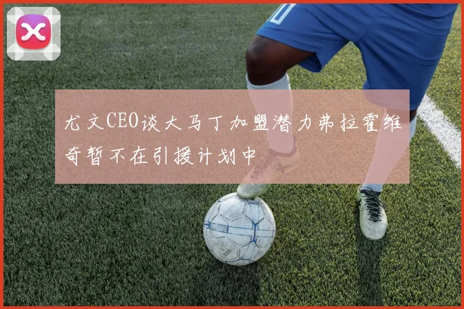 尤文CEO谈大马丁加盟潜力弗拉霍维奇暂不在引援计划中