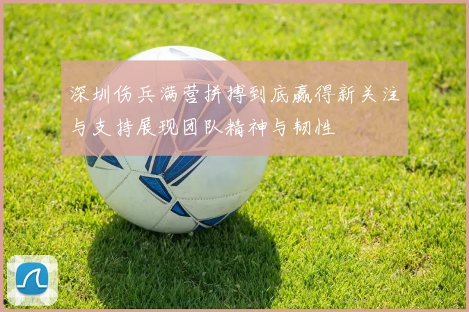 深圳伤兵满营拼搏到底赢得新关注与支持展现团队精神与韧性